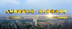 岳阳市